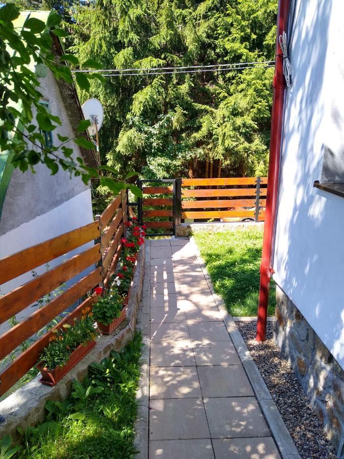 New And Comfortable Two Bedroom House Gărâna Zewnętrze zdjęcie